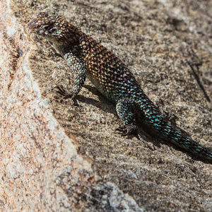 Meet your Posher, Nadia